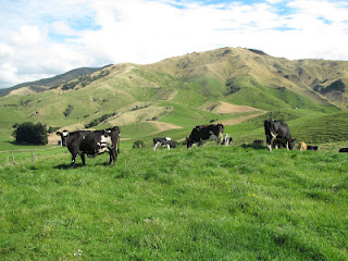 Sustainable dairy
